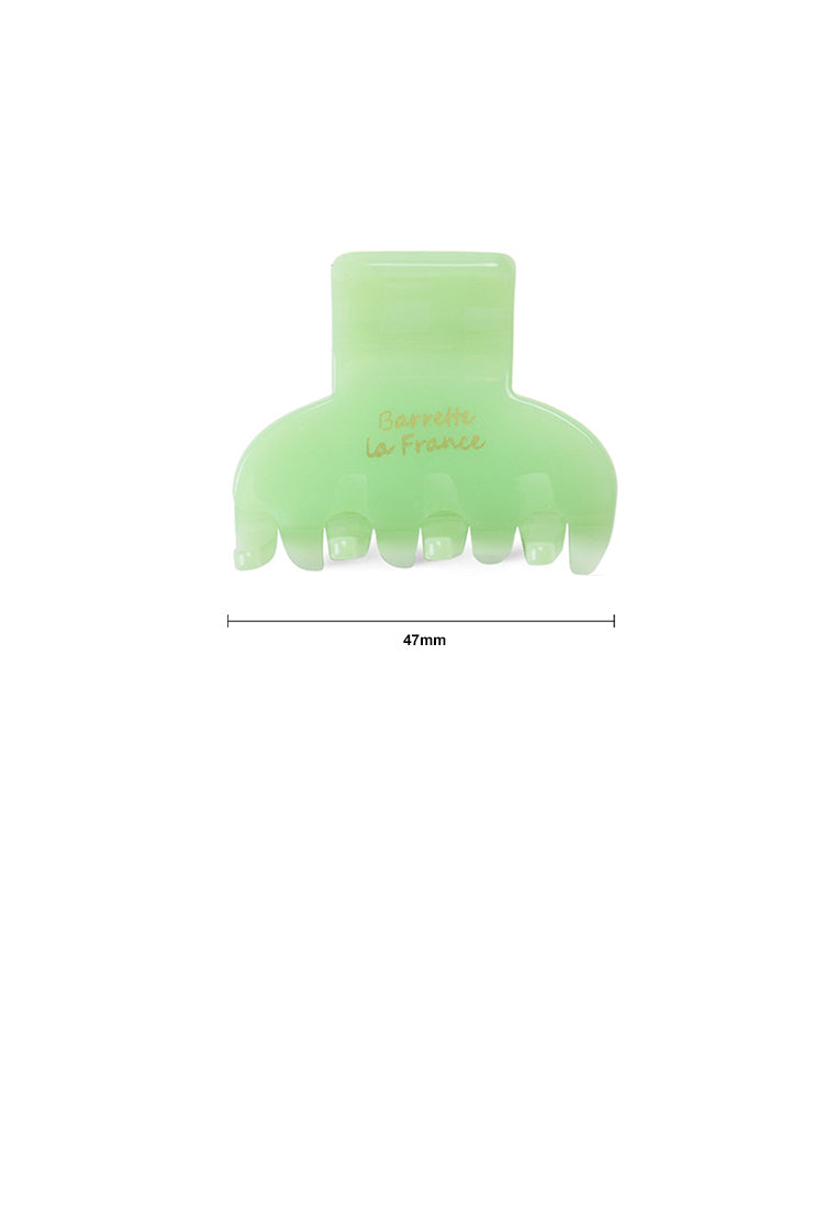 Simple And Fashion Green Geometric Hair Claw 2-Pack - Elegant Hairpiece