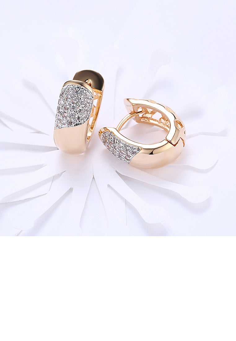 Fashion Simple Plated Champagne Gold Geometric Round Cubic Zircon Earrings