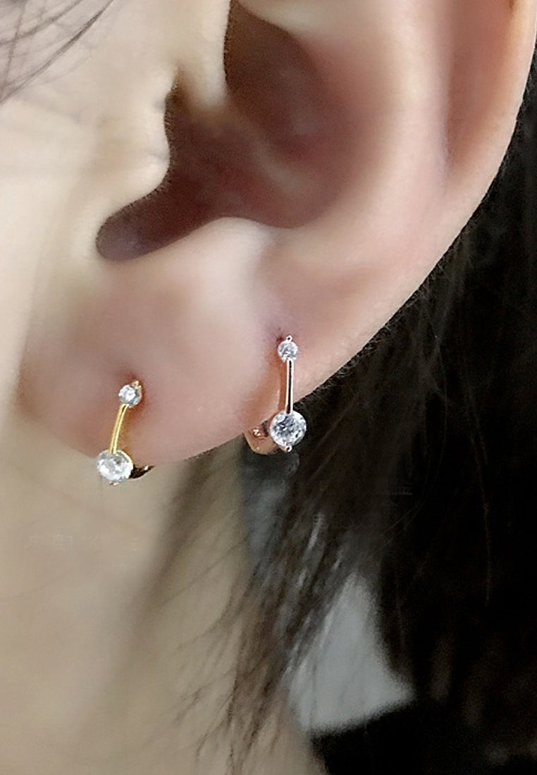 Wirishite Inlaid Earrings And Earrings