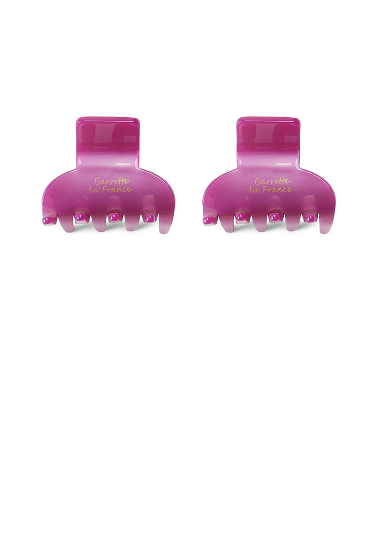 Simple And Fashion Purple Geometric Hair Claw 2-Pack - Elegant Hairpiece