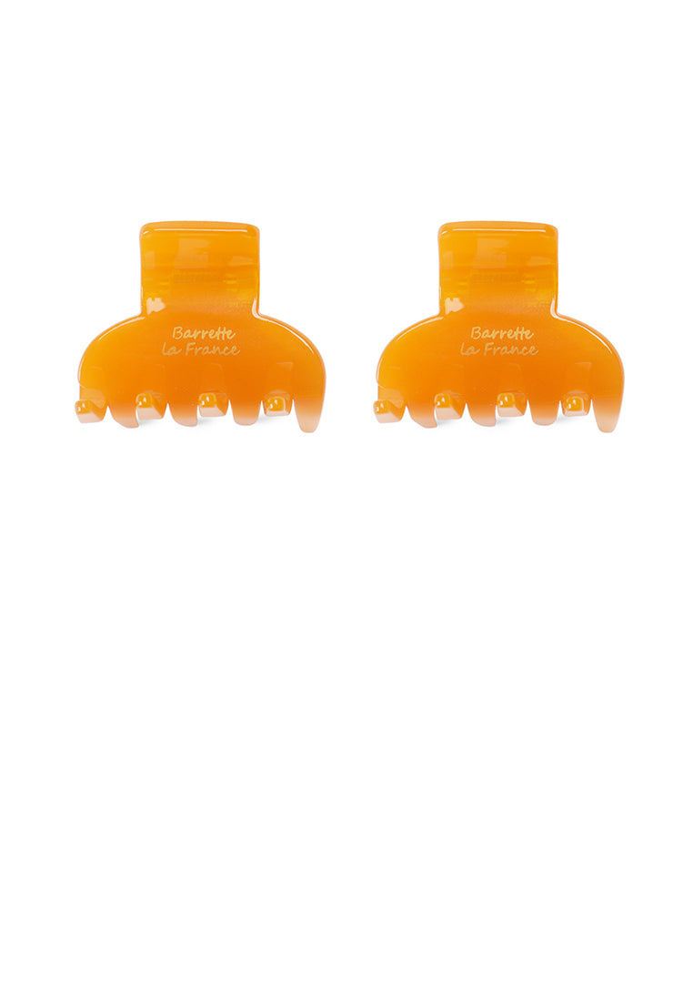 Simple And Fashion Orange Geometric Hair Claw 2-Pack - Elegant Hairpiece