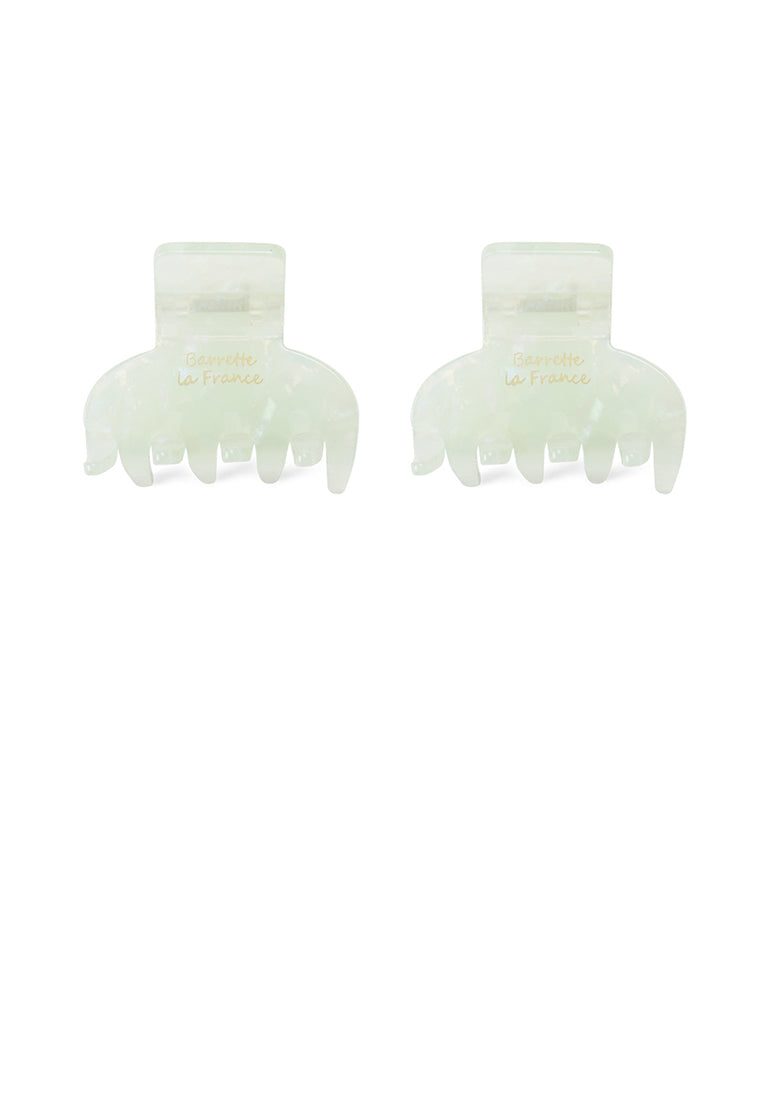 Simple And Fashion Light Green Pattern Geometric Hair Claw 2-Pack - Elegant Hairpiece