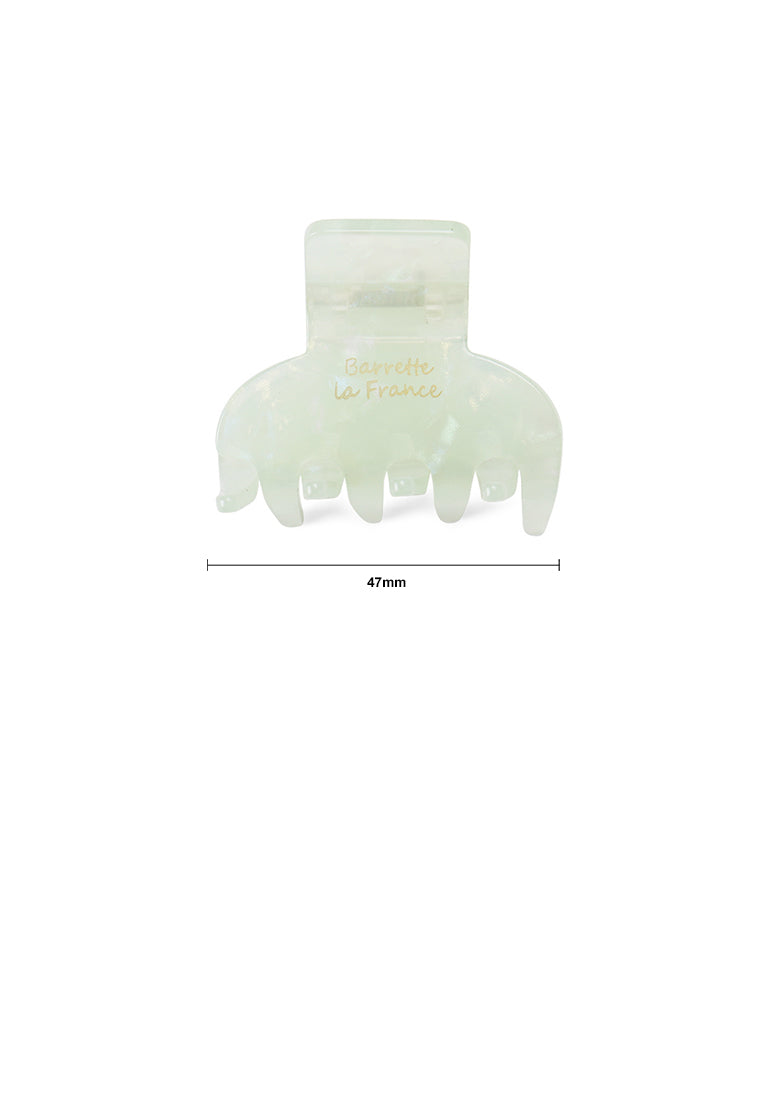 Simple And Fashion Light Green Pattern Geometric Hair Claw 2-Pack - Elegant Hairpiece