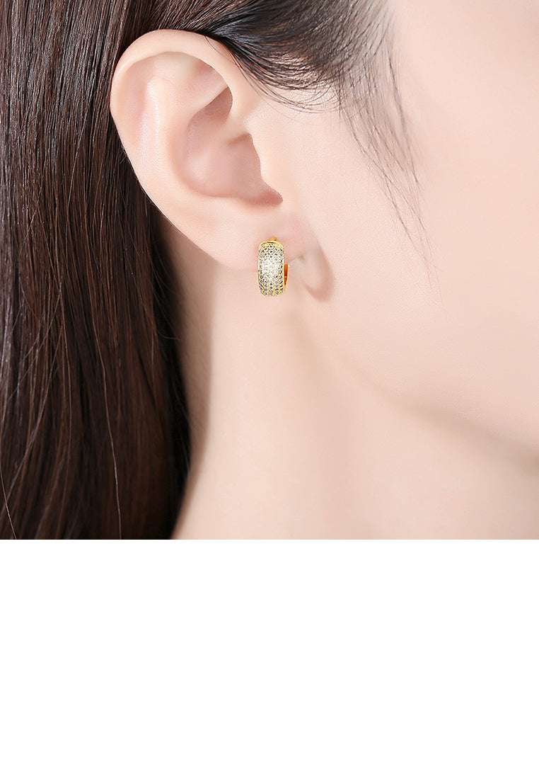 Fashion and Simple Plated Gold Geometric Stud Earrings with Cubic Zirconia - Luxurious Look