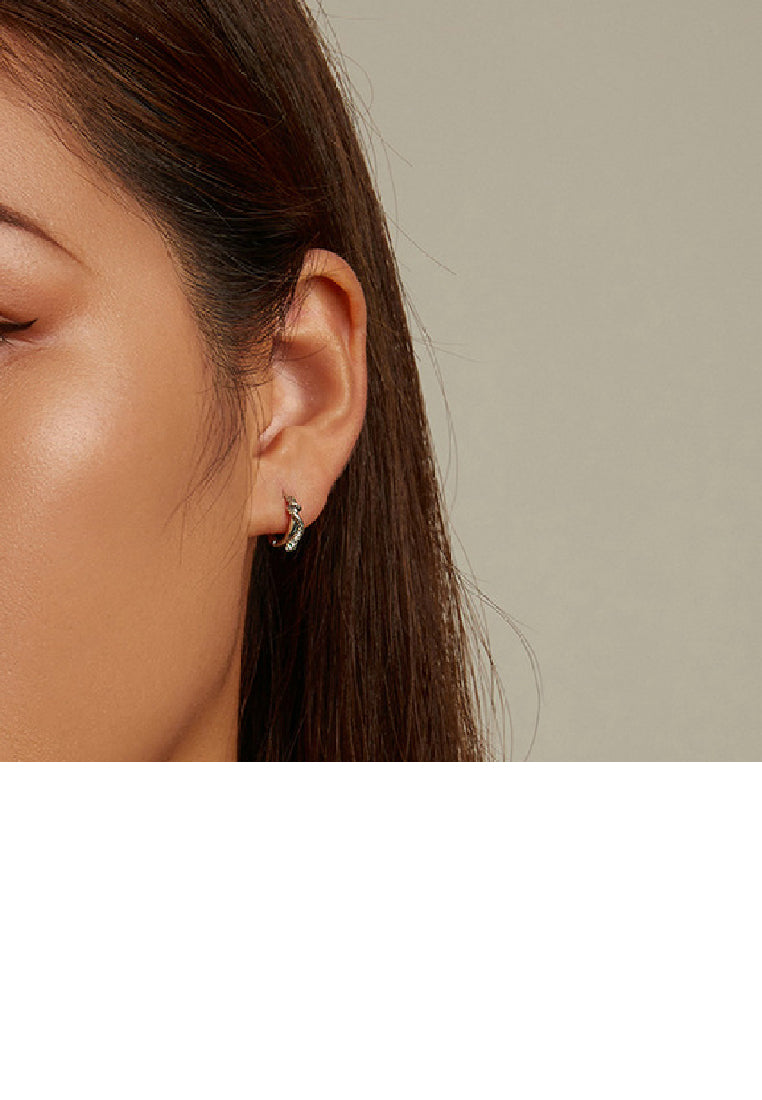 925 Sterling Silver Fashion Personality Snake Geometric Earrings with Cubic Zirconia - Luxurious Look