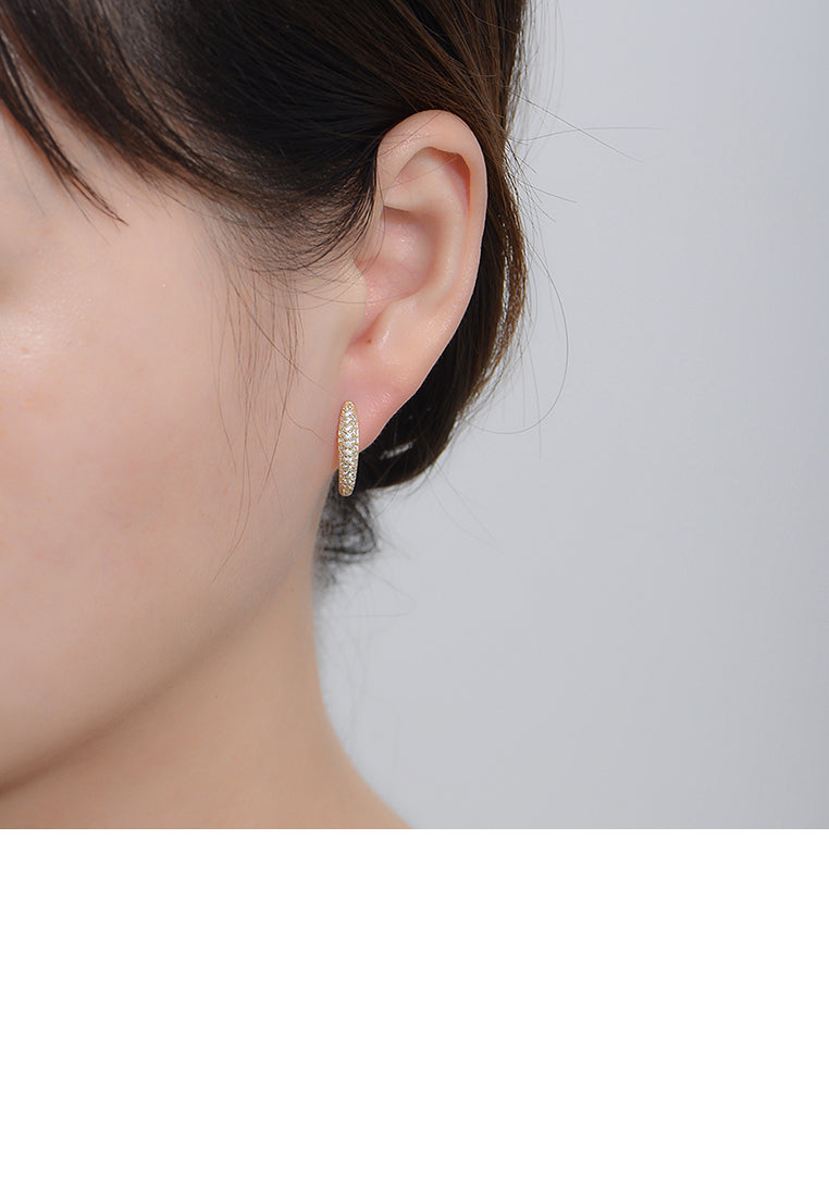 925 Sterling Silver Plated Gold Fashion Elegant Geometric Earrings with Cubic Zirconia - Luxurious Look