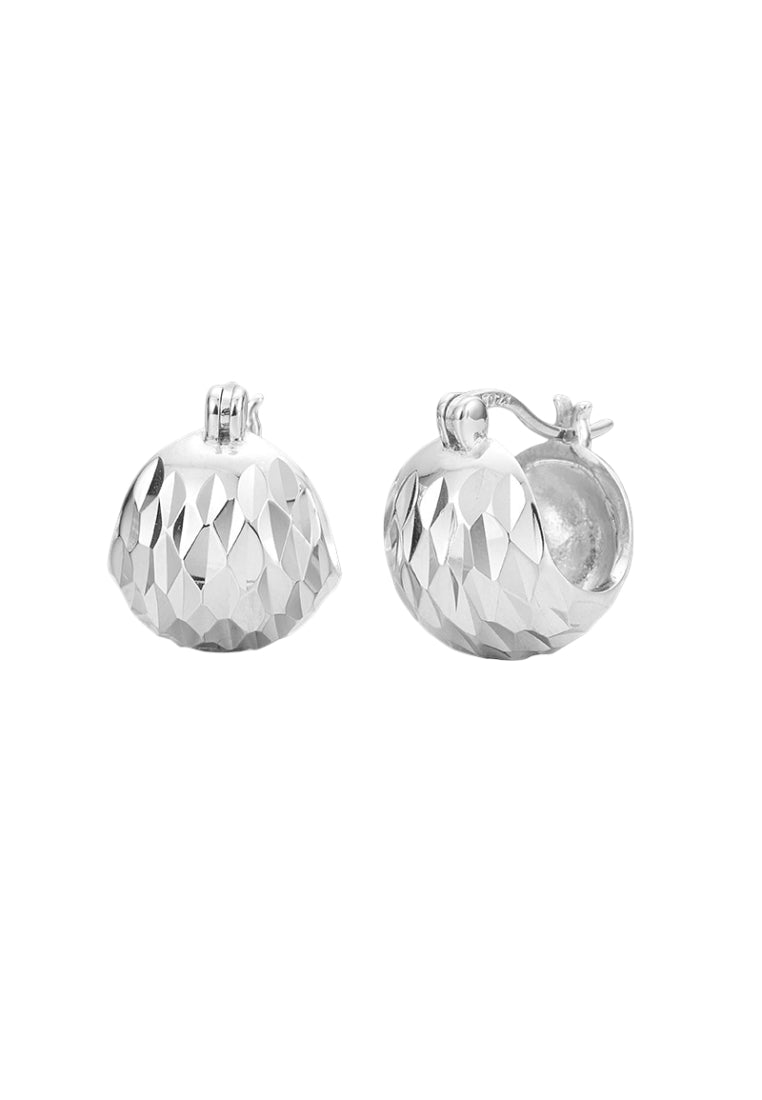 S925 silver sparkling earrings