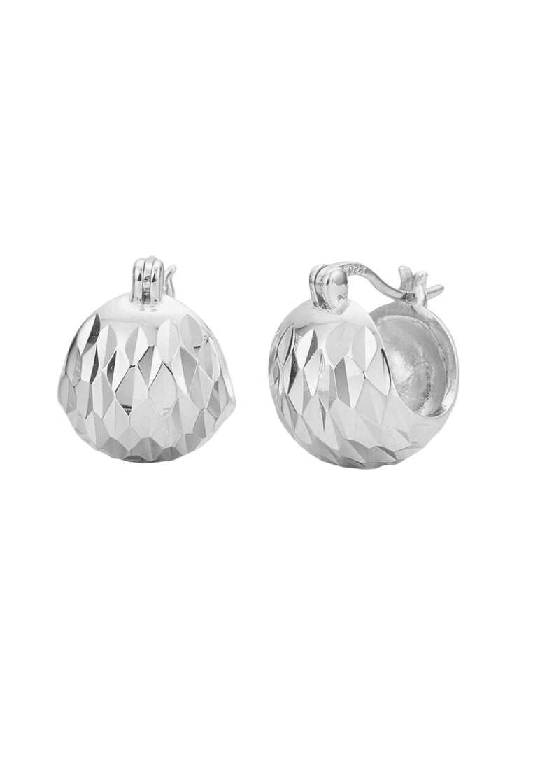 S925 silver sparkling earrings