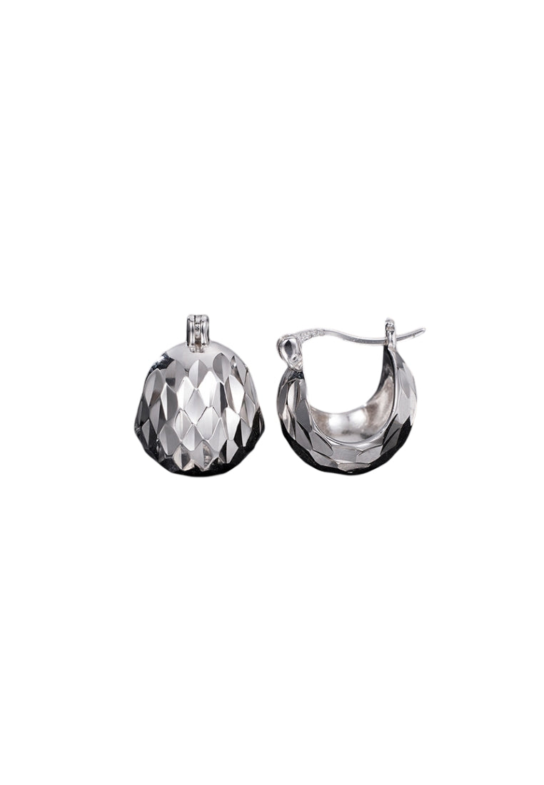 S925 silver sparkling earrings