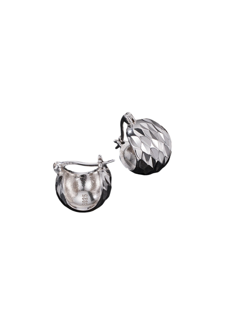 S925 silver sparkling earrings