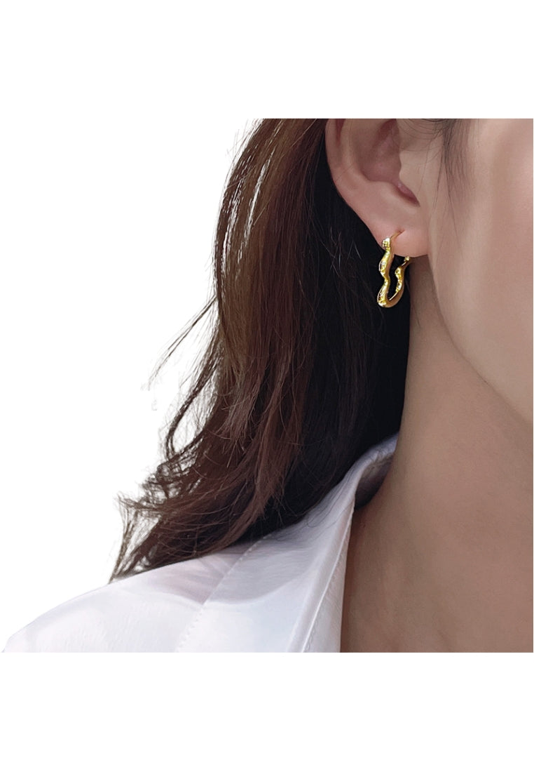 Oval Design Silver Earrings